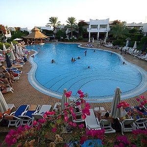 Double or Twin Room Pool View